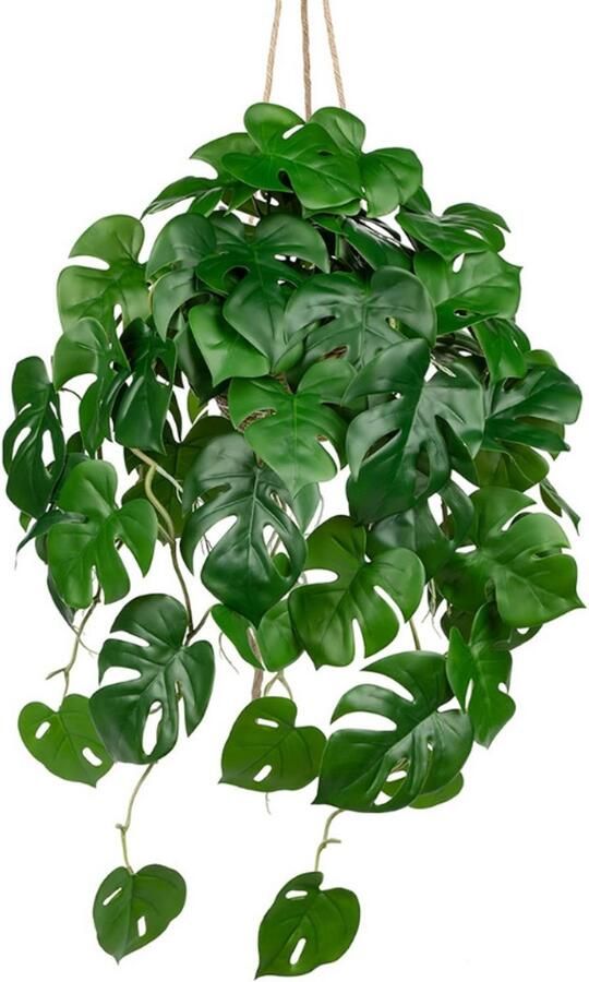 BOG Kunstplanten In Pot Kunsthangplant Als Echte Monstera Kunstplanten In Pot 20 Cm Potplanten Decoratieve Planten Voor Tafel Badkamer Woonkamer