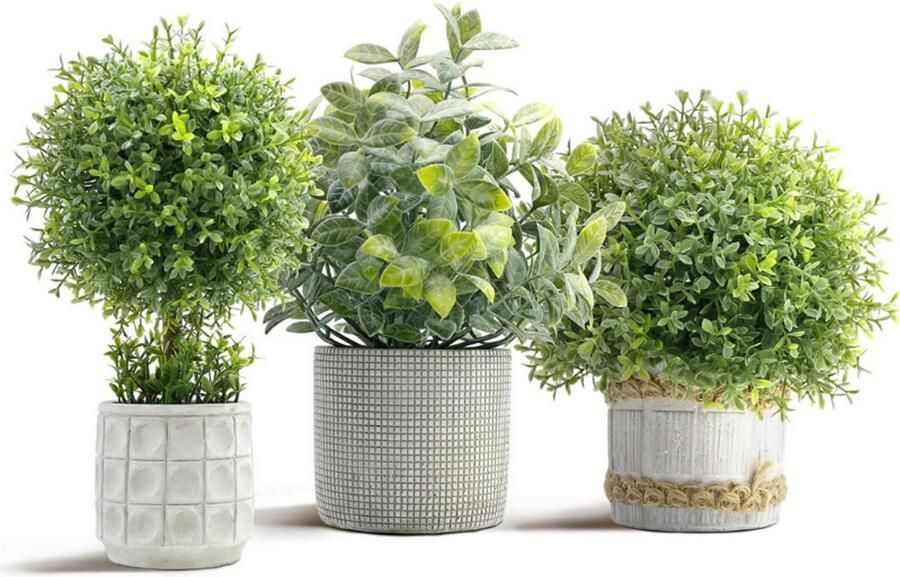 BOG Kunstplanten Set Van 3 Buxusboompjes In Betonpotten Voor Huisdecoratie Woonkamer Badkamer Slaapkamer Keuken Tafel Kantoor