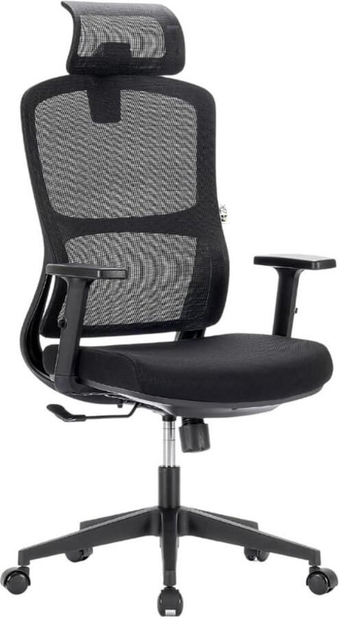 BOG Professionele Ergonomische Bureaustoel Verstelbare Armleuningen En Hoofdsteun Lendensteun Klasse 4 Gasveer Belastbaar Tot 150 KG