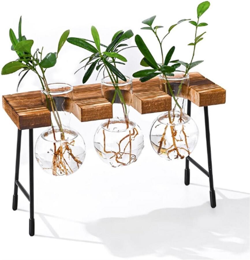 BOG Reageerbuis Vaas Hydrocultuur Vaas Hangvaas Bloemenvaas Tafelvaas Luchtplanten Terrarium Bureau Decoratieve Vaas met Houten Houder Glas Plant voor Kantoor Huis & Tuin Decoratie Set van 3 Vazen