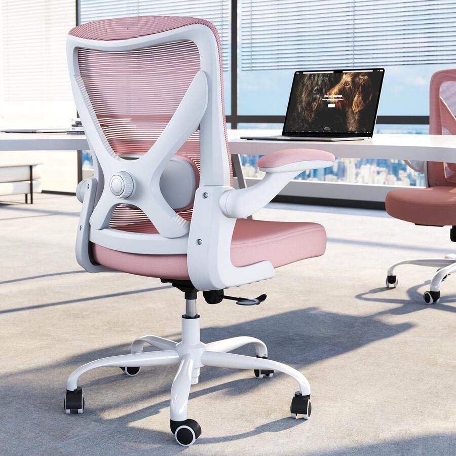 Boraboi Ergonomische en Verstelbare Bureaustoel met Lendensteun en Ademend Mesh voor Langdurig Comfort