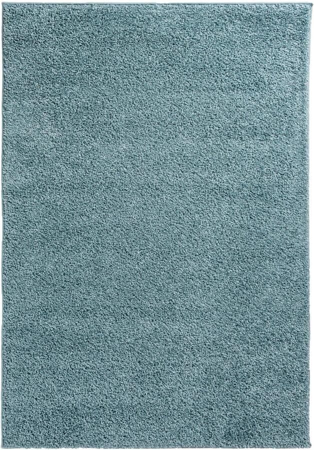 Boraboi Zacht Hoogpolig Vloerkleed voor Woonkamer en Slaapkamer Turquoise Blauw 160 x 220 cm