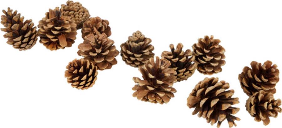 Brash Dennenappels Tafeldecoratie Herfst Decoratie voor op tafel Natuurlijke dennenappels Ornamenten kerst- Winter decoratie 10 stuks - Foto 2