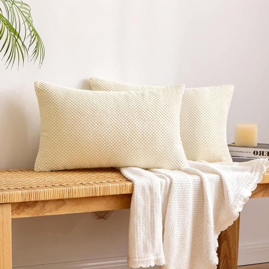 Brenzoos Ribfluwelen kussensloop met granulaat decoratief ontwerp voor bank in woonkamer Set van 2 stuks 40 x 60 cm Beige kleur