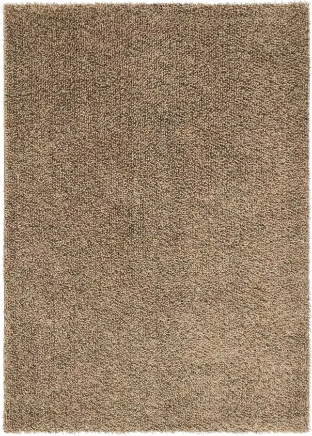 Brink & Campman Brink en Campman Quartz 67101 Vloerkleed 140x200 Rechthoek Hoogpolig Structuur Tapijt Modern Bruin