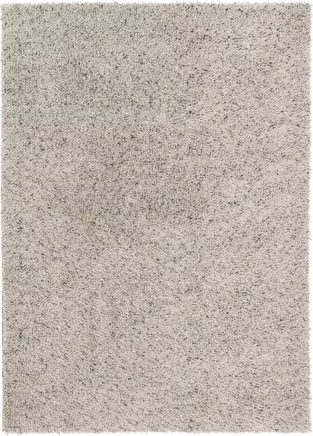 Brink & Campman Brink en Campman Quartz 67104 Vloerkleed 170x240 Rechthoek Hoogpolig Structuur Tapijt Modern Grijs Wit
