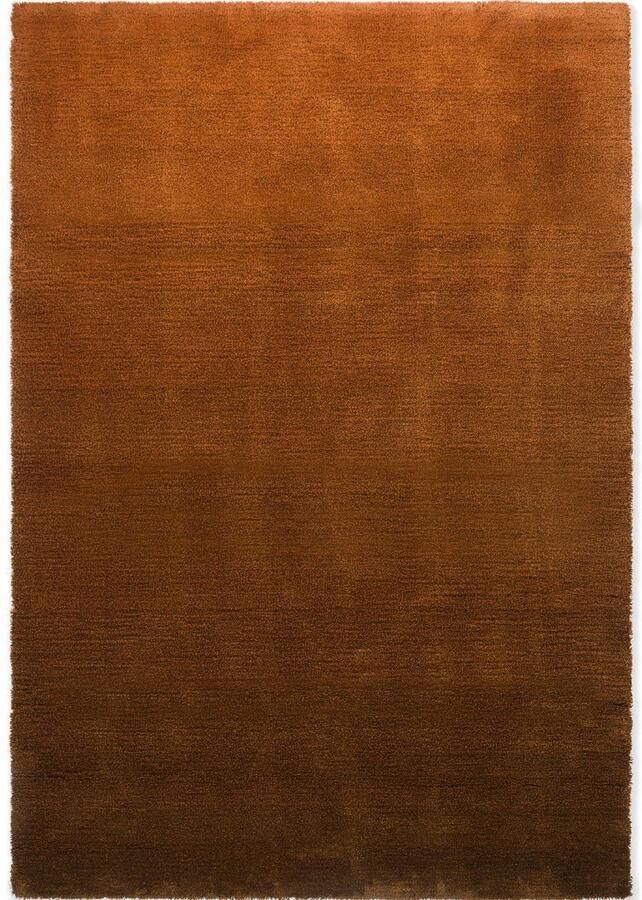 Brink & Campman Shade Low Umber Tobacco 010103 Vloerkleed 170 x 240 cm Orange Rectangular Wool Dining room Living room Gradation Industrial Modern - Foto 3
