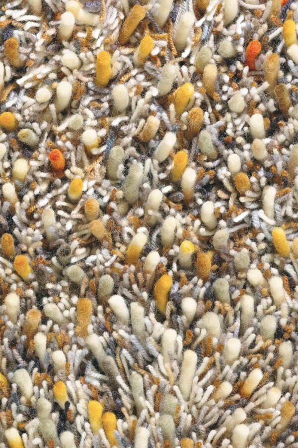 Brink & Campman Brink en Campman Spring 59103 Vloerkleed 140x200 Rechthoek Hoogpolig Structuur Tapijt Modern Meerkleurig - Foto 2