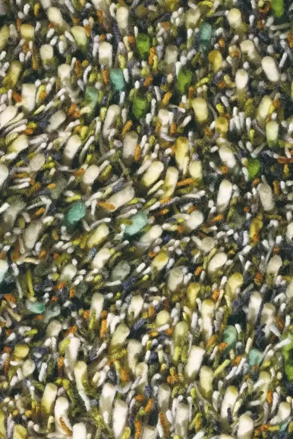 Brink & Campman Brink en Campman Spring 59107 Vloerkleed 170x240 Rechthoek Hoogpolig Structuur Tapijt Modern Meerkleurig - Foto 2