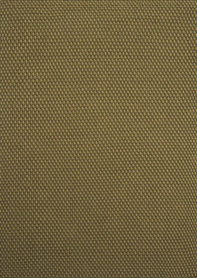 Brink & Campman Lace Thyme Pine 497207 Vloerkleed 160 x 230 cm Green Rectangular PET Living room Kitchen Terrace Plain In & Outdoor