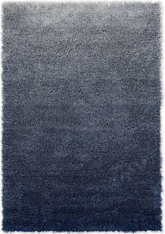 Brink & Campman Shade High Silver Polar Night 011904 Vloerkleed 250 x 350 cm Blauw Rectangular Wol Woonkamer Schakering Shaggy Hoogpolig Modern - Foto 2