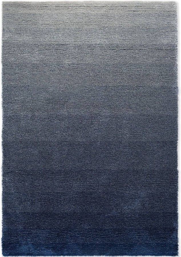 Brink & Campman Shade Low Silver Polar Night 010104 Vloerkleed 200 x 300 cm Blue Rectangular Wool Dining room Living room Gradation Industrial Modern - Foto 3