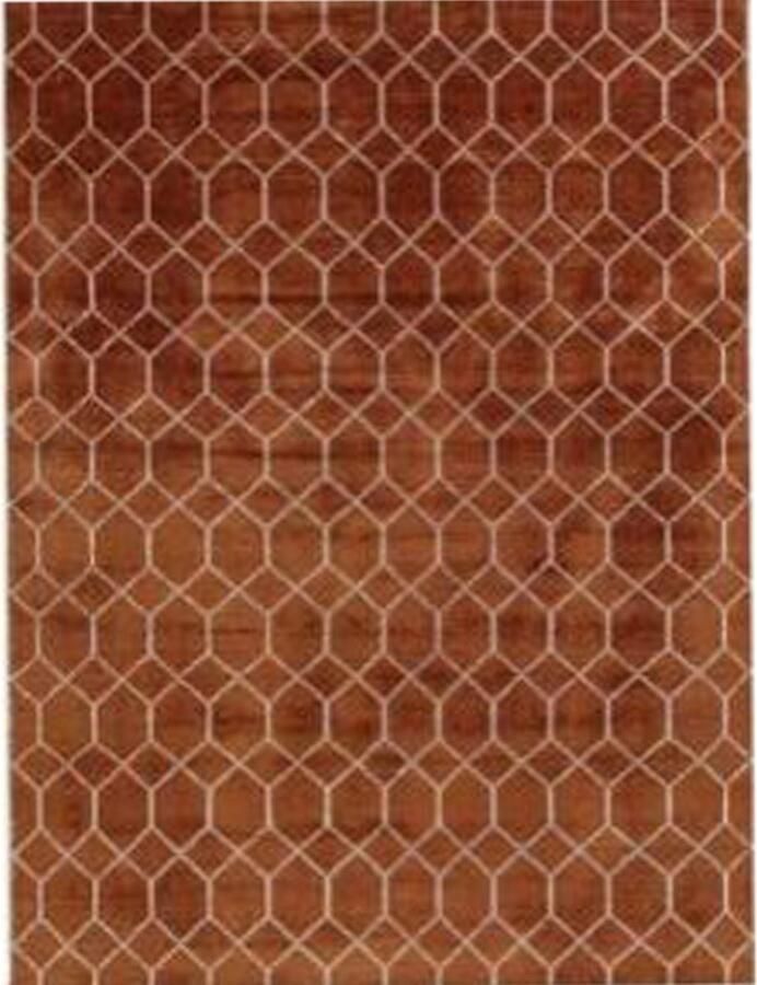 Brinker Vloerkleed Laatz Terra 200x300