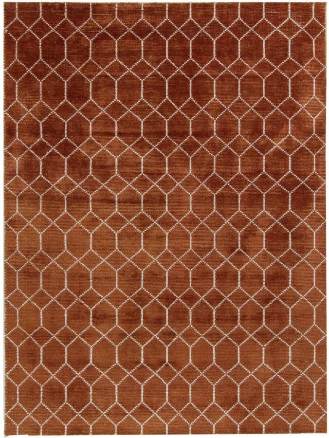 Brinker carpets Feel Good Laatz Terra Vloerkleed 170x230 Rechthoek Laagpolig Tapijt Modern Bruin