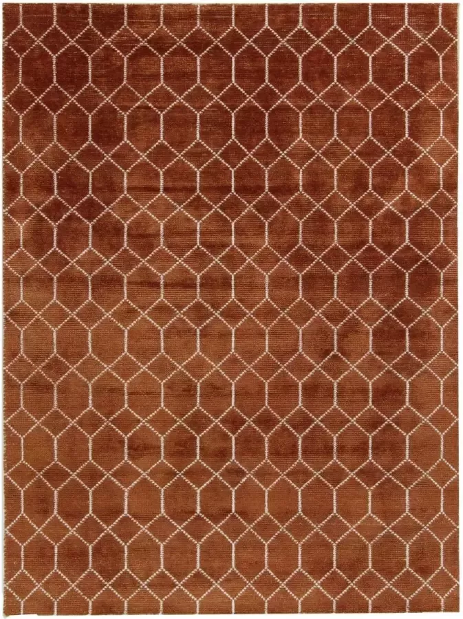 Brinker carpets Feel Good Laatz Terra Vloerkleed 170x230 Rechthoek Laagpolig Tapijt Modern Bruin - Foto 2