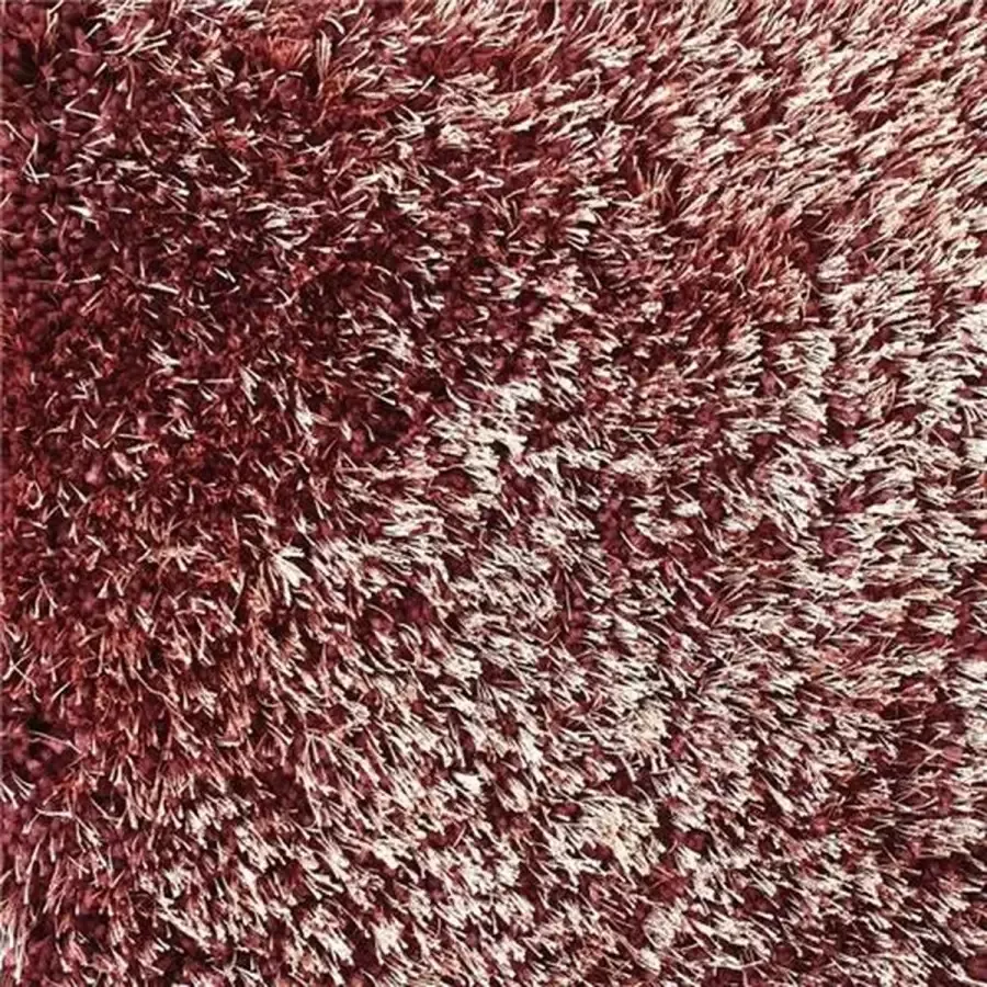 Brinker carpets Vloerkleed puglia purple red polyester 160 x 230 cm