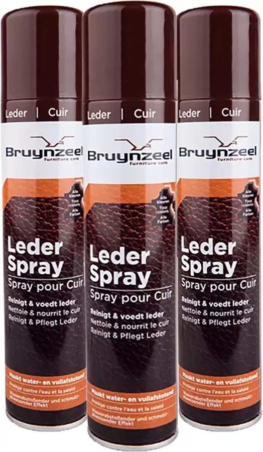 Bruynzeel Leder spray 3X reinigt & voedt leder 3x 300ML
