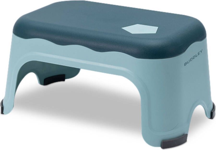 BUDDLEY Opstapje Blauw 17.5cm Krukje Kinderen Krukje Opstapkrukje Keuken Plastic Krukje Badkamer Toilet Kinder Opstapje Kind Opstapjes Volwassenen Opstapje keuken Trapje