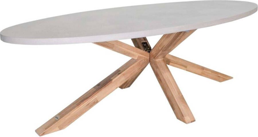 BUITEN living Livorno dining tuintafel betonlook + hardhout ovaal 240x120cm 6 personen