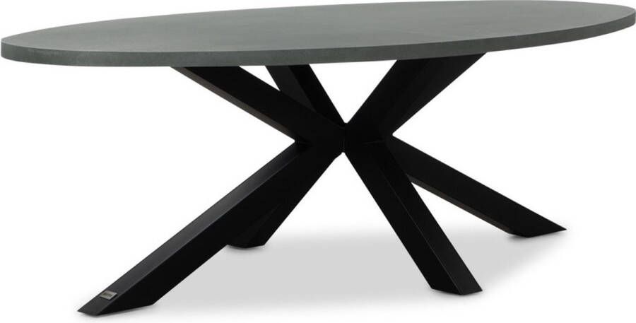 BUITEN living Stockholm dining tuintafel betonlook + staal ovaal 240x120cm