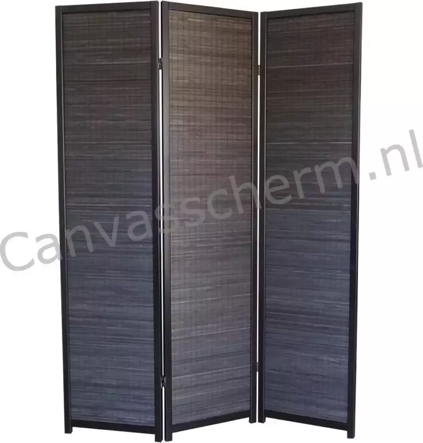 Canvasscherm Kamerscherm Zwart 3 panelen
