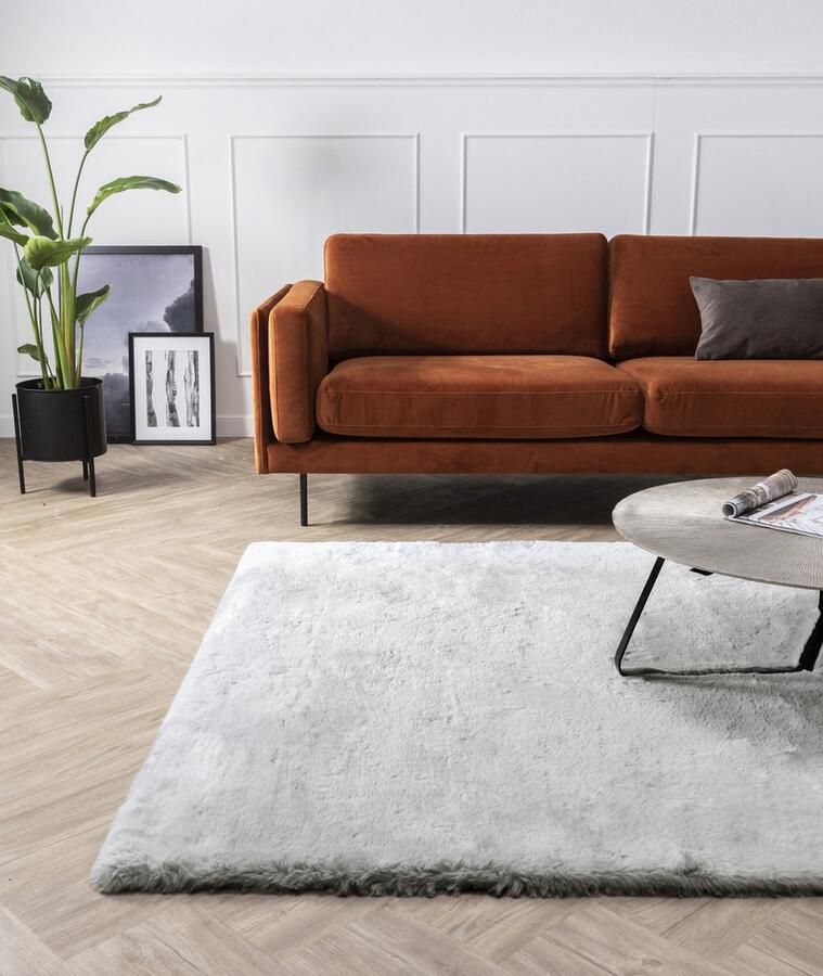 Carpet Studio Comfy Tapijt Lichtgrijs Tapijt Woonkamer 160x230 cm Hoogpolig Tapijt Woonkamer Tapijt Shaggy Tapijt Fluffy Slaapkamer