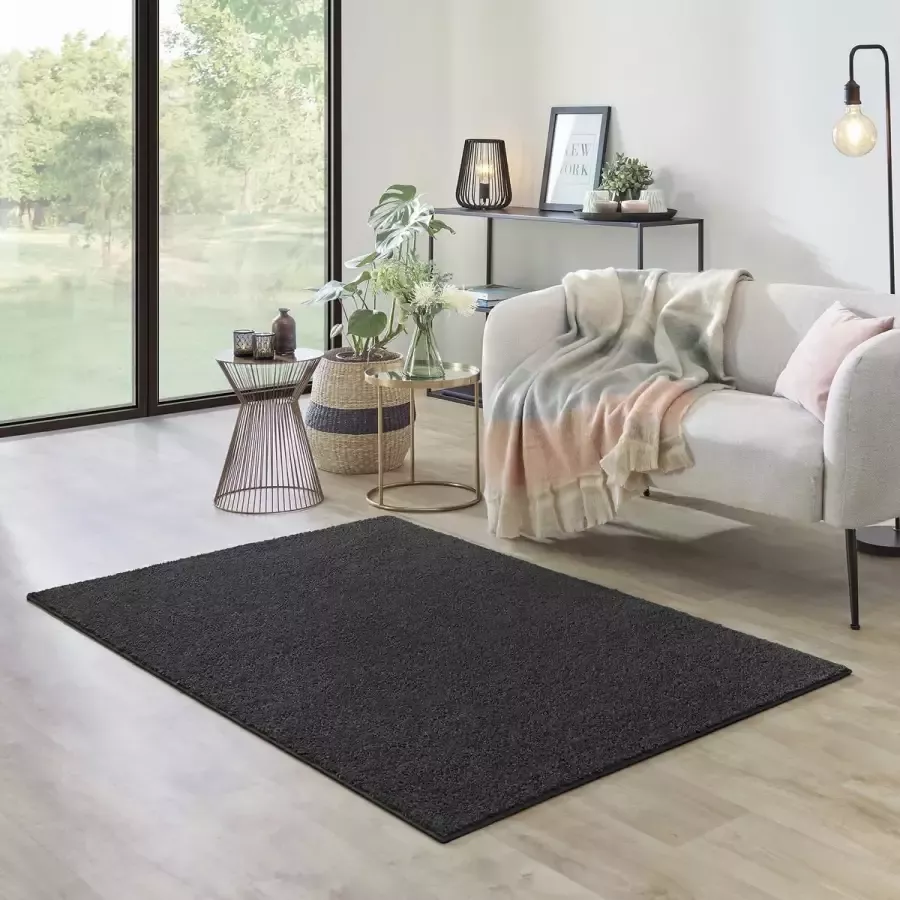 Carpet Studio Ohio Vloerkleed 115x170cm Laagpolig Tapijt Woonkamer Tapijt Slaapkamer Kleed Donkergrijs