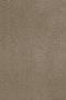 Carpet Studio Utah Vloerkleed 160x230cm Hoogpolig Tapijt Woonkamer Tapijt Slaapkamer Kleed Taupe - Thumbnail 3
