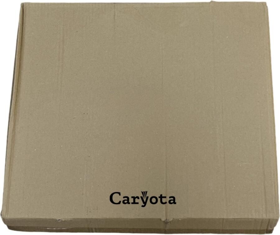 Caryota Wandrek Vierdubbel Zeshoekig Wanddecoratie 4 Lagen Goud 40.5 x 58 x 11 cm Metaal