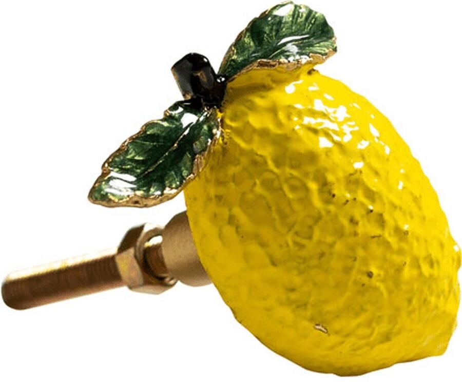 Catchii Kast knop Citroen