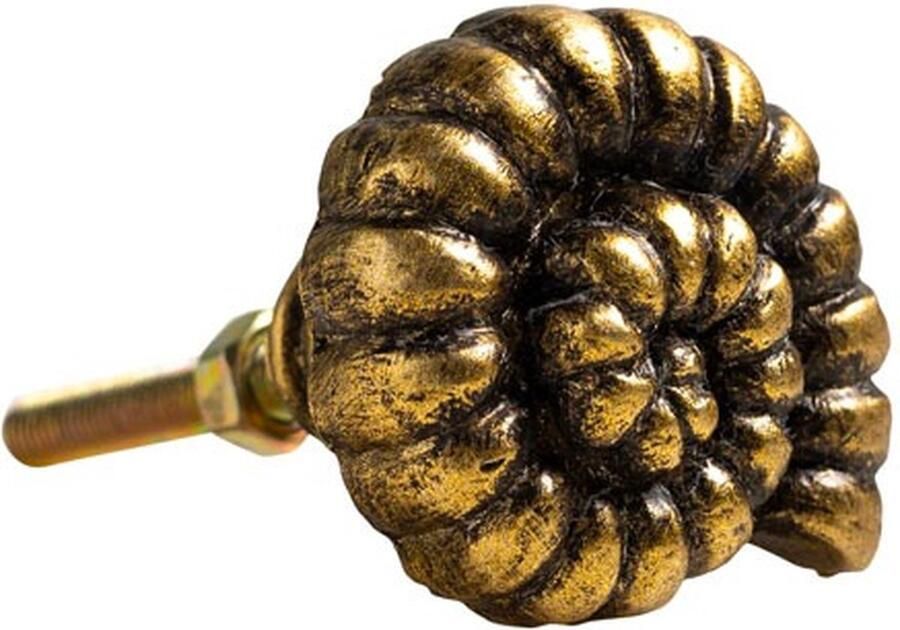 Catchii Kast knop ronde schelp vintage goud