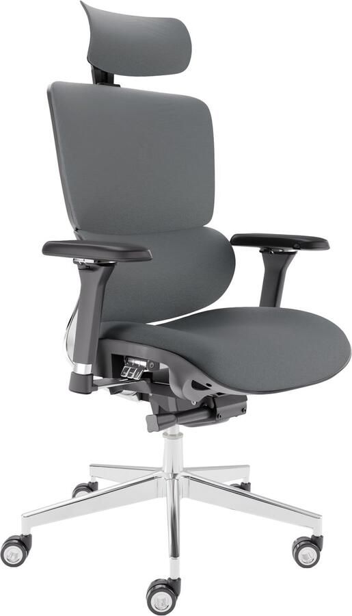 CLOUVOU Ergonomische Bureaustoel MasterSeat 4D Armleuningen Bureau Stoel voor Volwassenen Max 150 kg Bediening met Knop Antraciet