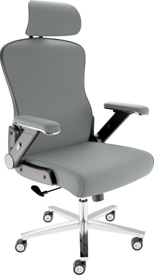 CLOUVOU Ergonomische Bureaustoel MasterSeat 5D Armleuningen Bureau Stoel voor Volwassenen Max 200 kg 3D Hoofdsteun Antraciet