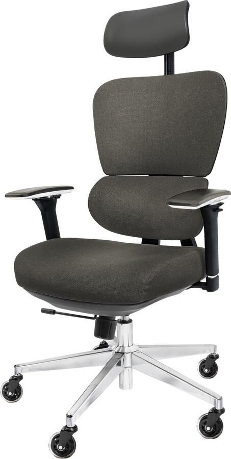 CLOUVOU Ergonomische Bureaustoel ProSeat 4D Armleuningen Bureau Stoel voor Volwassenen Max 150 kg Thermoregulerende bekleding Antraciet