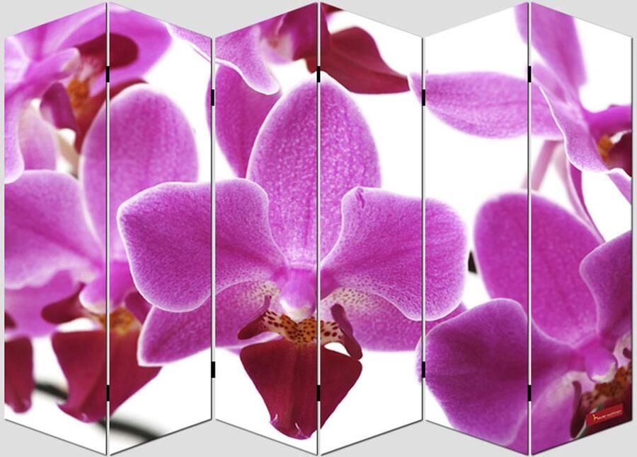 Cosmo Casa Fotokamer Scheidingswand Kamerscherm 180x240cm Orchideeënontwerp