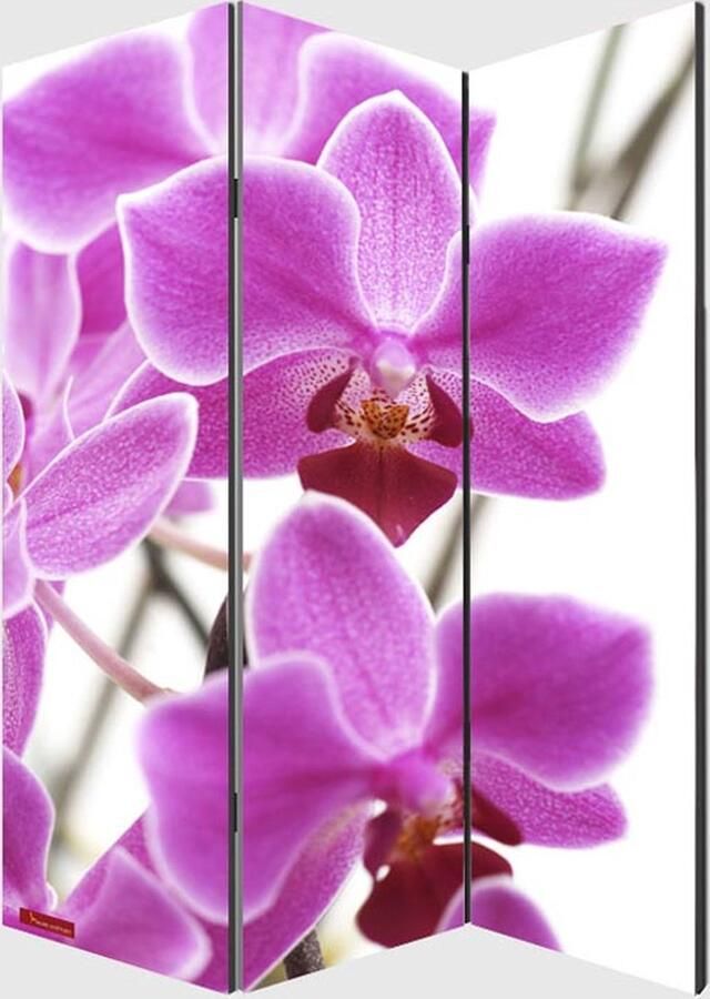 Cosmo Casa Fotoparavent Kamerscherm 180x120cm Orchidee
