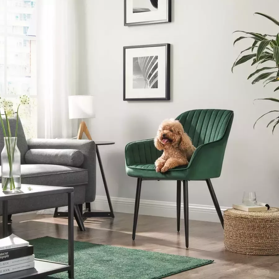 Cozy living Esszimmerstühle 6er Set mit Samtbezug Grün
