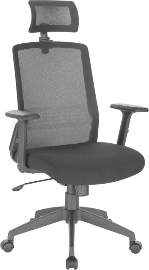 Currero Ergonomische Bureaustoel Gamestoel Office Chair Office Chair Ergonomic Desk Chair Volwassenen