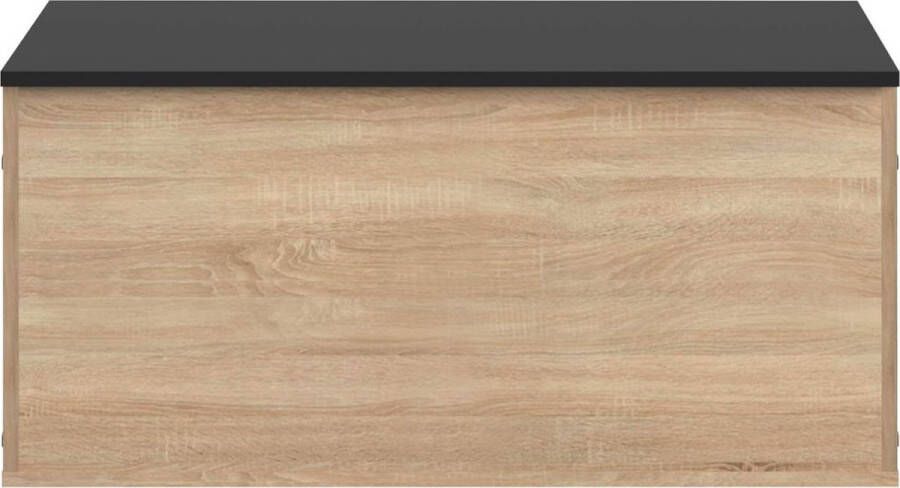 Dailysupplies Luxe Dekenkist voor Dekens en Extra Opslag Bijzet Bankje Opbergbank Binnen en Buiten Dekenkisten voor Slaapkamers Bank met Opslagruimte Bedkist Hout met Zwart