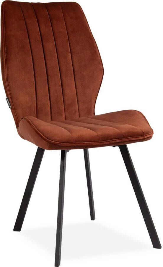 De Bommel Meubelen Eetkamerstoel Donna Adore Copper Velvet Rood Industrieel Eettafelstoel Keukenstoel Eetstoel Stoel eetkamer