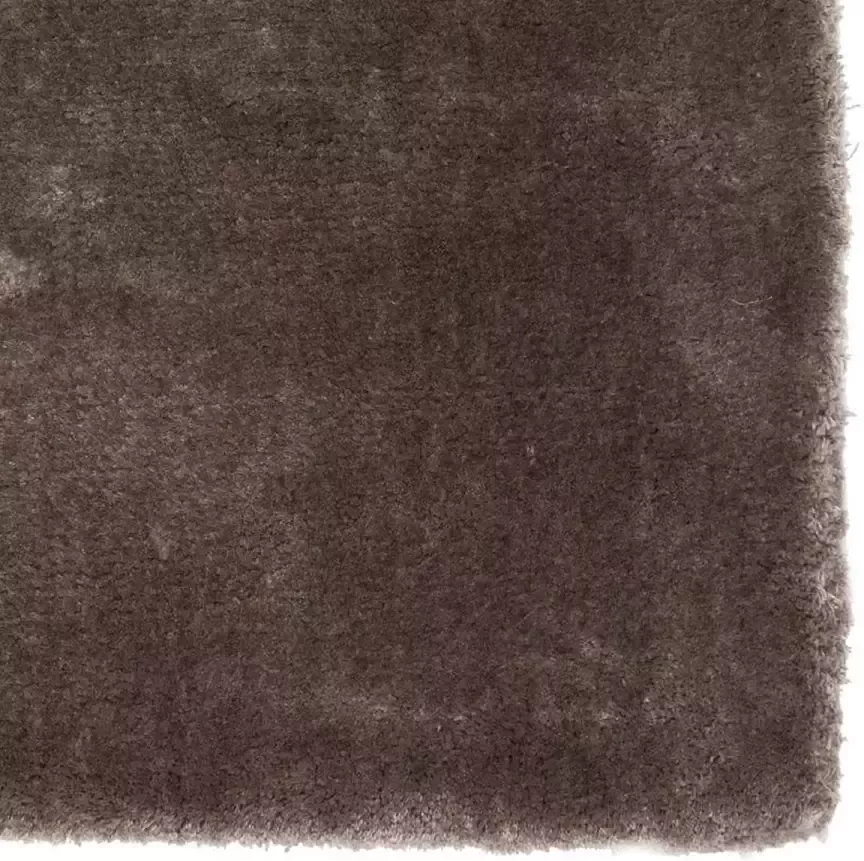 De Munk Carpets Assago 03 Vloerkleed 170x240 cm Rechthoekig Laagpolig Tapijt Design Landelijk Bruin - Foto 1