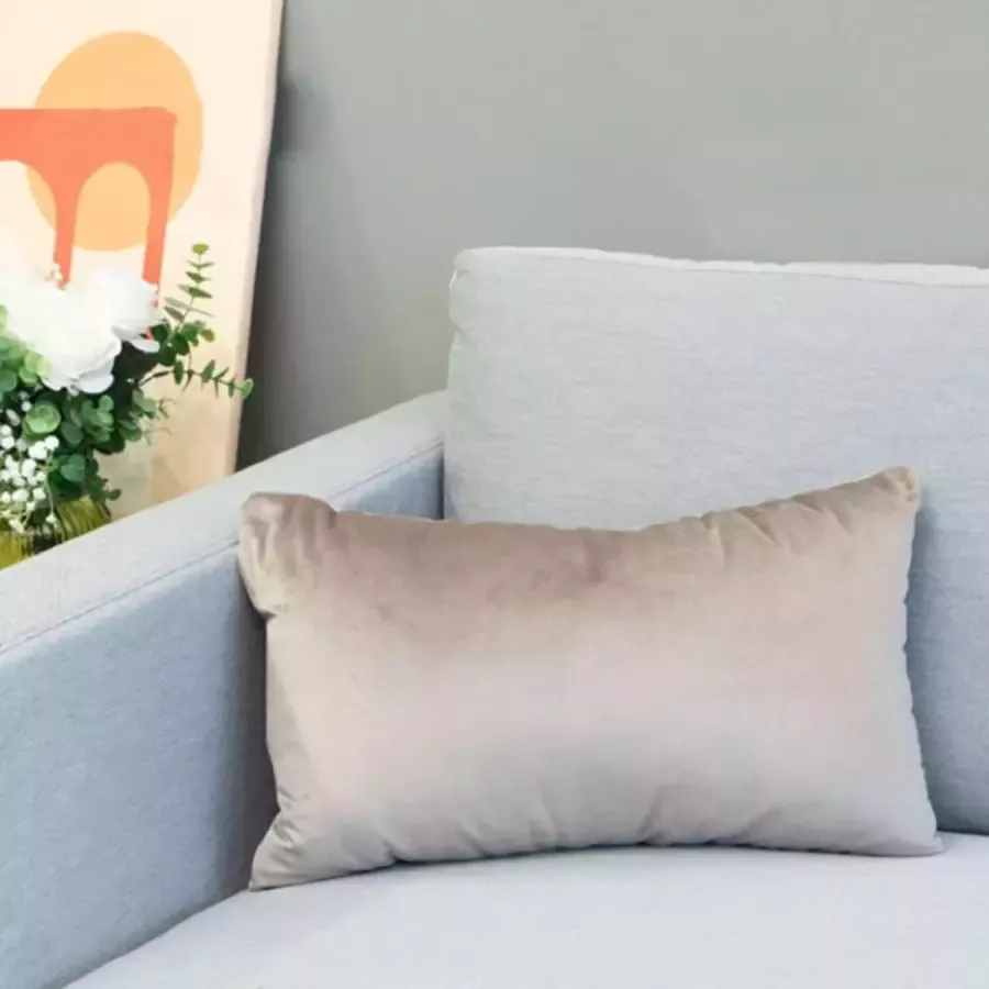 DecoHome Alicante Velours Collectie sierkussen – Zilver Grijs 30x50 cm – Gevuld – Polyester – Decoratie – Bank – Woonkamer Kussenhoes