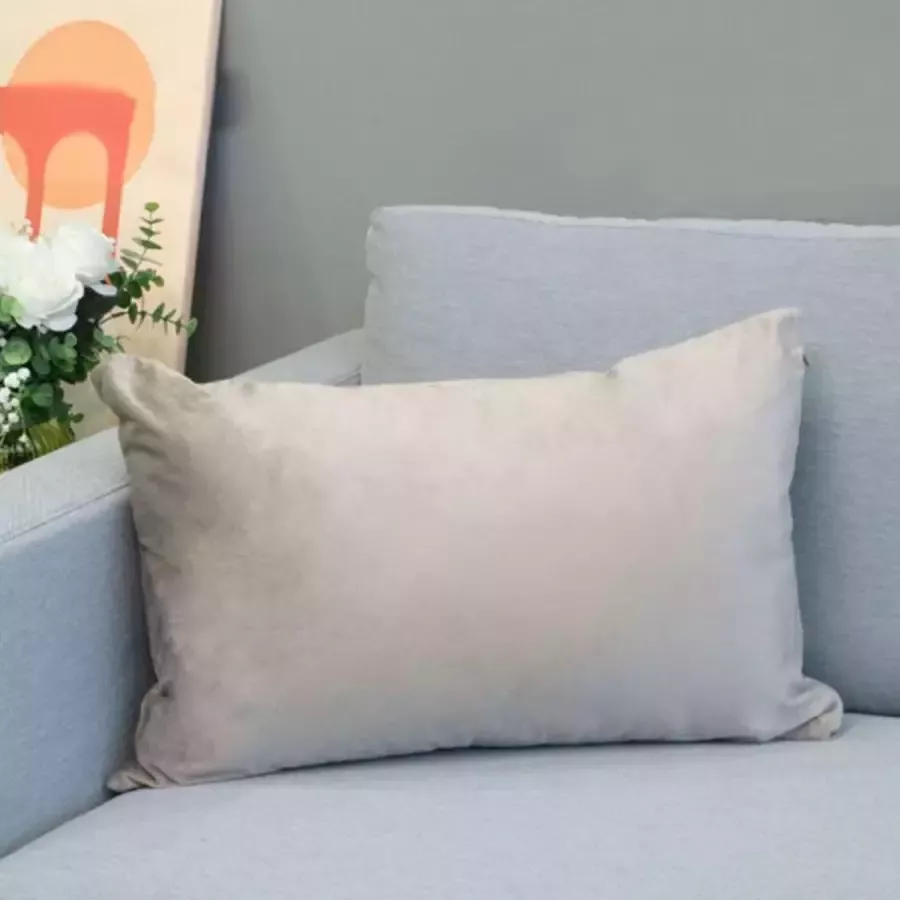 DecoHome Alicante Velours Collectie sierkussen – Zilver Grijs 40x60 cm – Gevuld – Polyester – Decoratie – Bank – Woonkamer Kussenhoes
