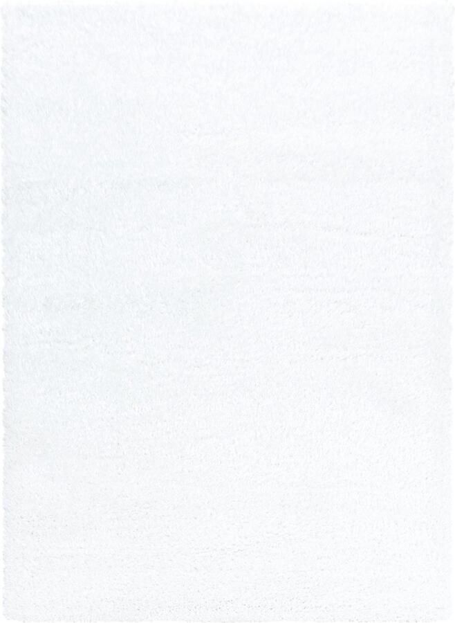 Decor24-AY Extra hoogpolig shaggy vloerkleed Brilliant snow 120x170 cm