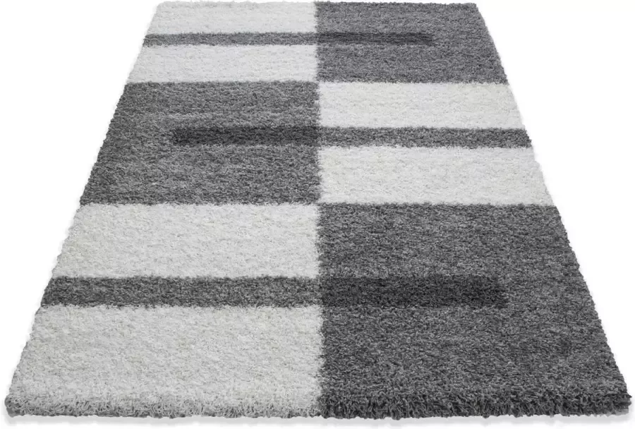 Decor24-AY Extra hoogpolig en modern vloerkleed Gala lichtgrijs 80x150 cm