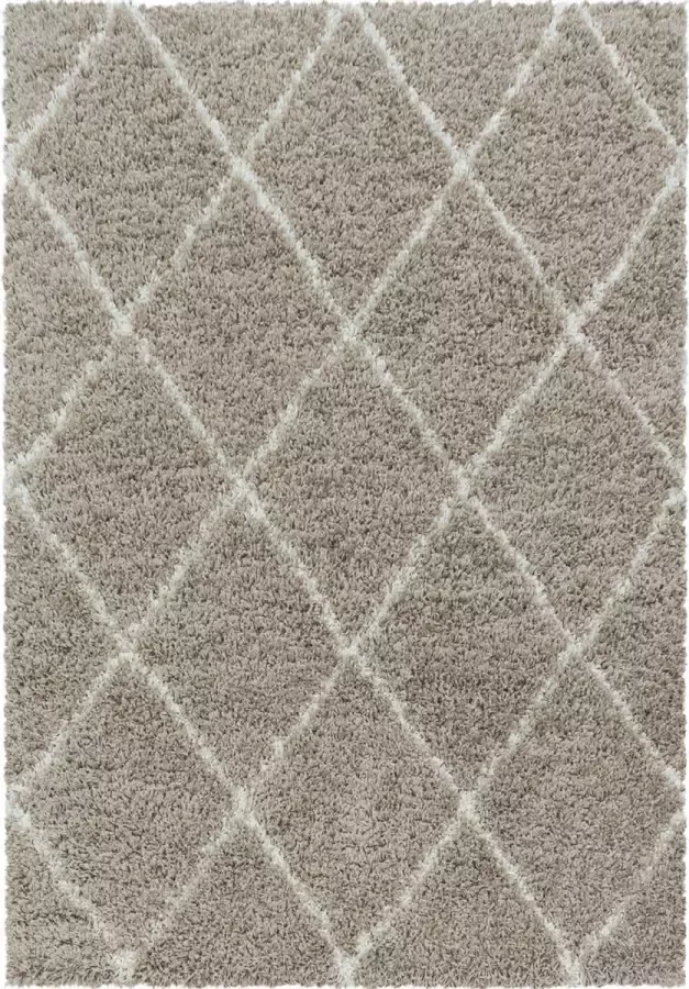 Decor24-AY Extra hoogpolig shaggy vloerkleed Alvor beige 200x290 cm