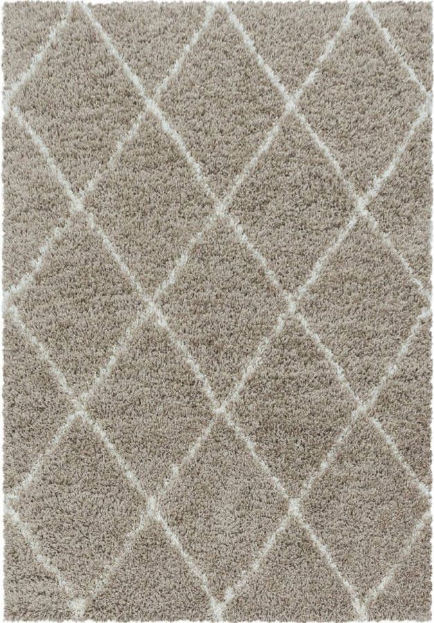 decor24-AY Extra hoogpolig shaggy vloerkleed Alvor beige 80x250 cm