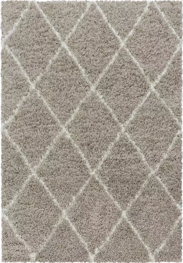 Decor24-AY Extra hoogpolig shaggy vloerkleed Alvor beige 80x250 cm