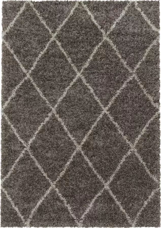 Decor24-AY Extra hoogpolig shaggy vloerkleed Alvor taupe 120x170 cm