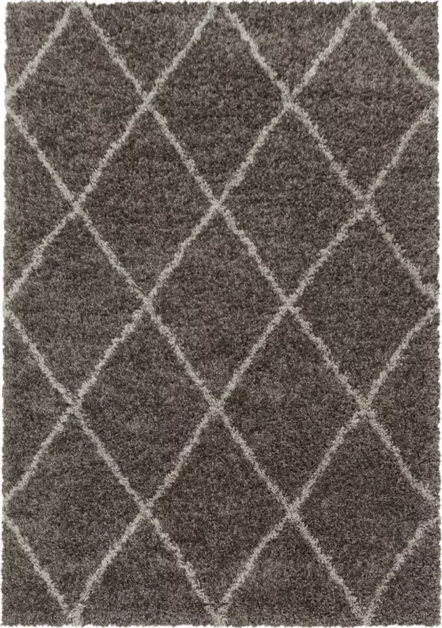 Decor24-AY Extra hoogpolig shaggy vloerkleed Alvor taupe 140x200 cm